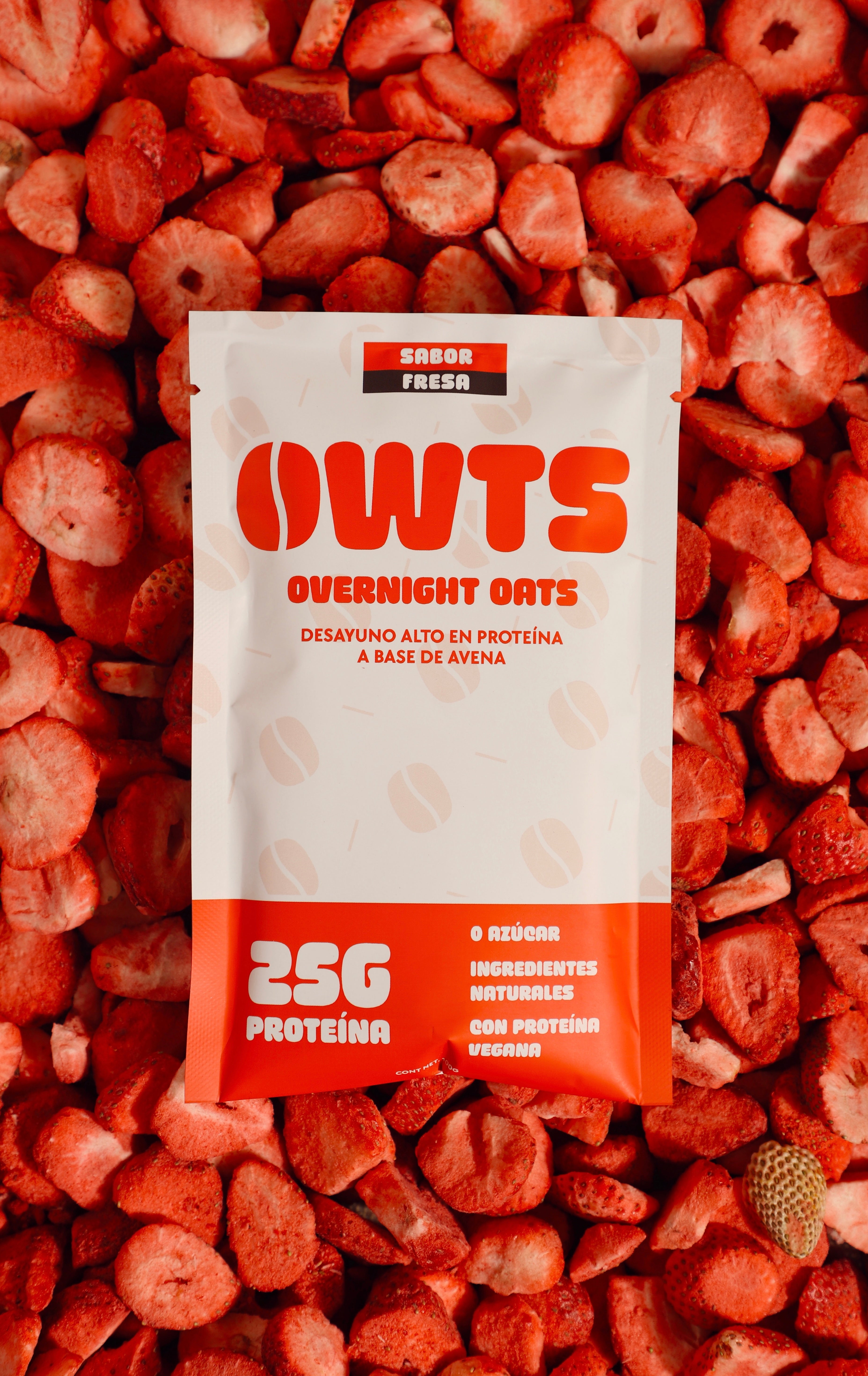 Owts Shellman OWTS